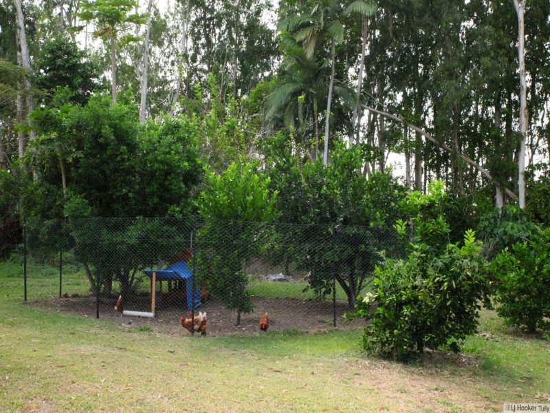 80 Paradise Palm Drive, Tully Heads QLD 4854