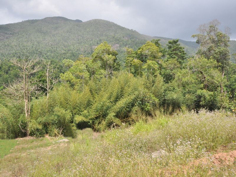 9 Kirk Street, Tully QLD 4854