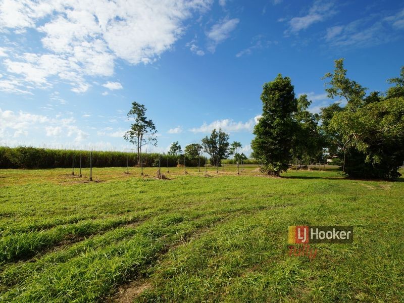12 Brosnan Road, Lower Tully QLD 4854