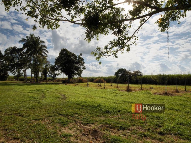 12 Brosnan Road, Lower Tully QLD 4854