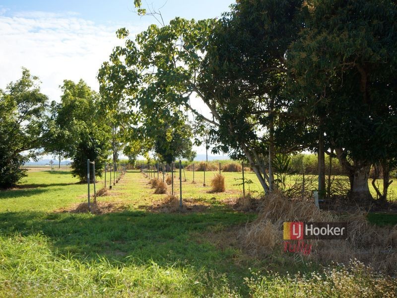 12 Brosnan Road, Lower Tully QLD 4854