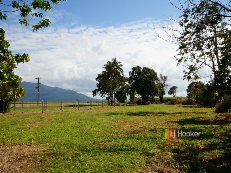 12 Brosnan Road, Lower Tully QLD 4854