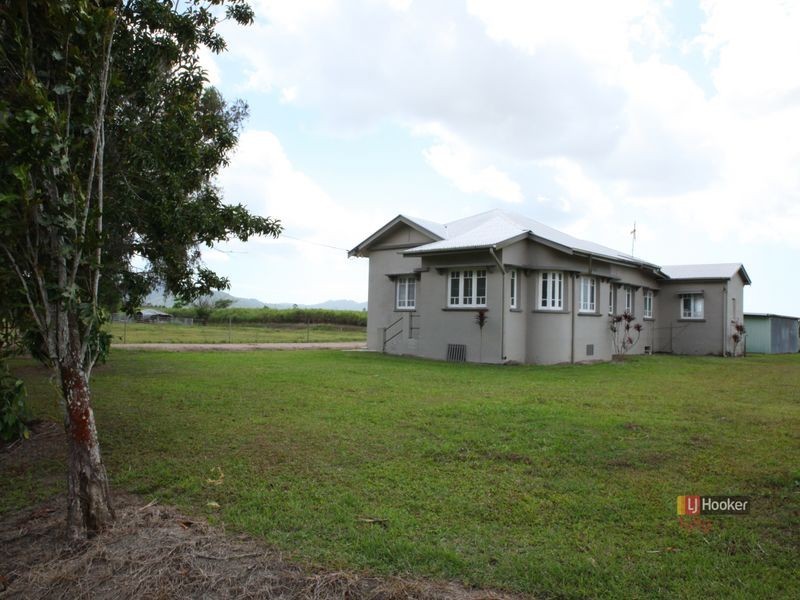 288 Old Tully Road, Midgenoo QLD 4854