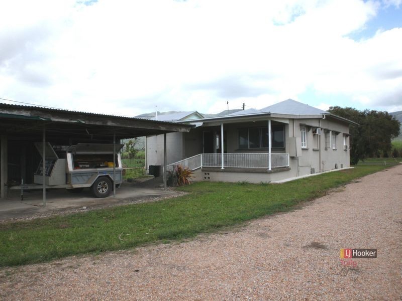 288 Old Tully Road, Midgenoo QLD 4854