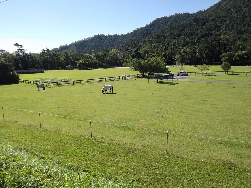 Redlynch QLD 4870