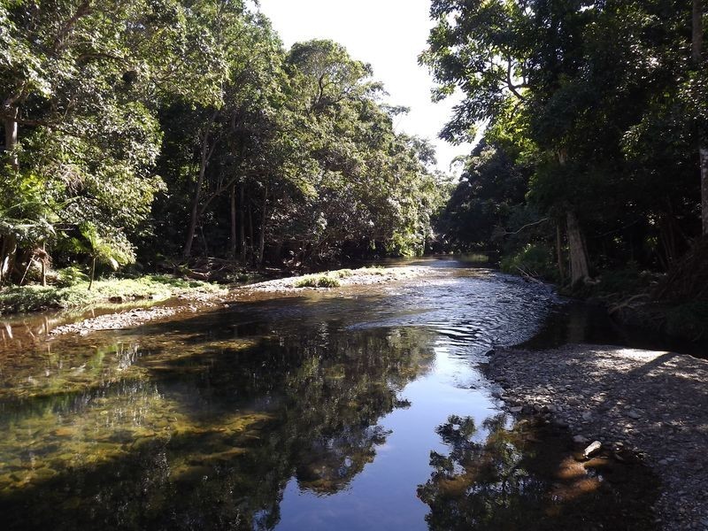 Redlynch QLD 4870