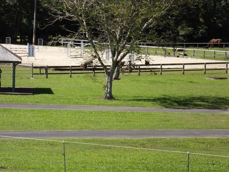 Redlynch QLD 4870