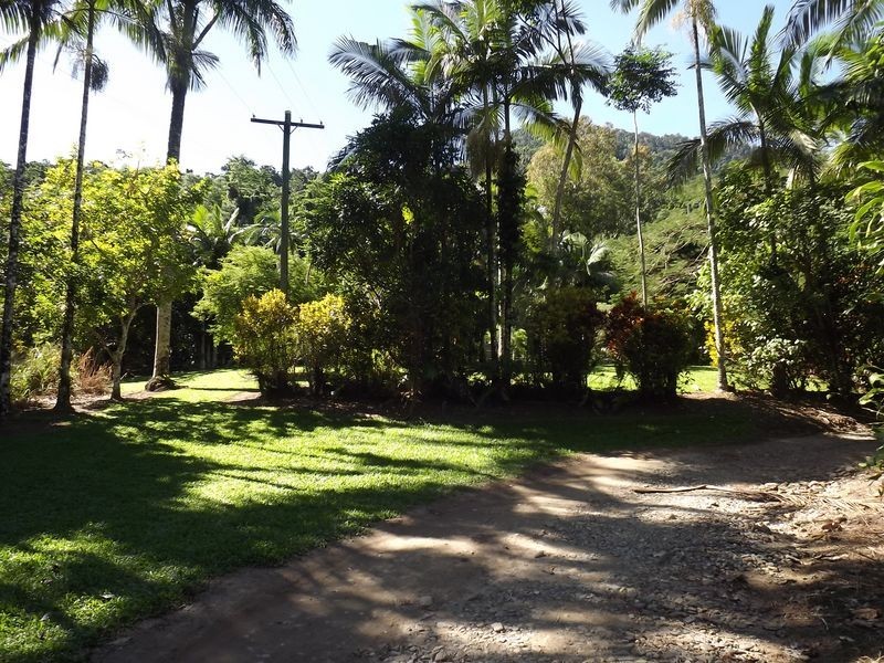 Redlynch QLD 4870