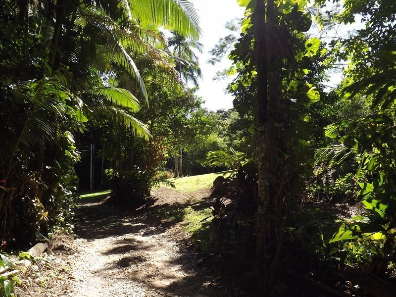 Redlynch QLD 4870