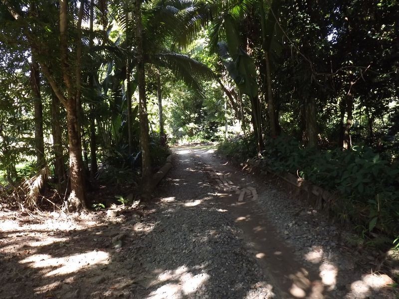 Redlynch QLD 4870