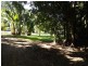 Redlynch QLD 4870