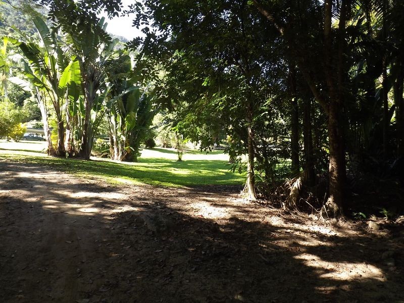 Redlynch QLD 4870