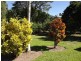 Redlynch QLD 4870