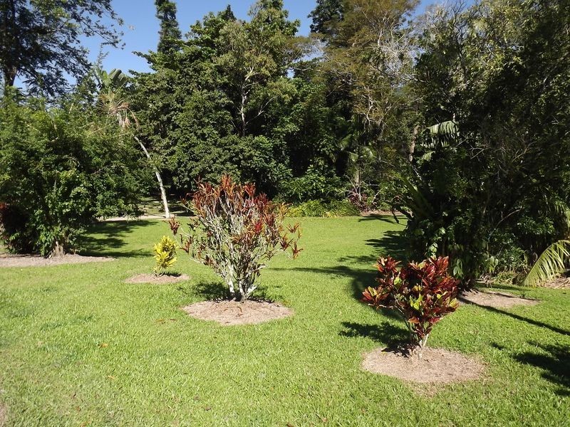 Redlynch QLD 4870