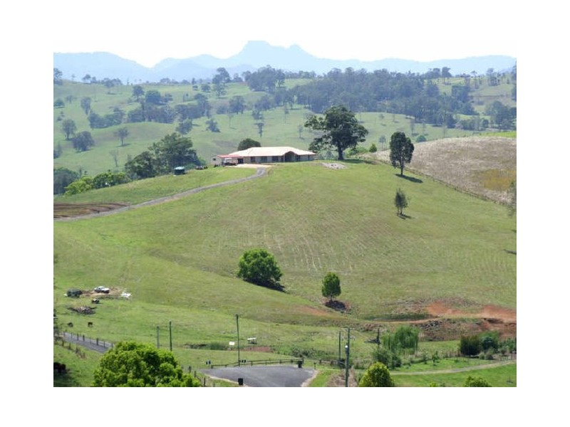 Murwillumbah NSW 2484