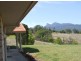 Murwillumbah NSW 2484