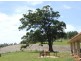 Murwillumbah NSW 2484