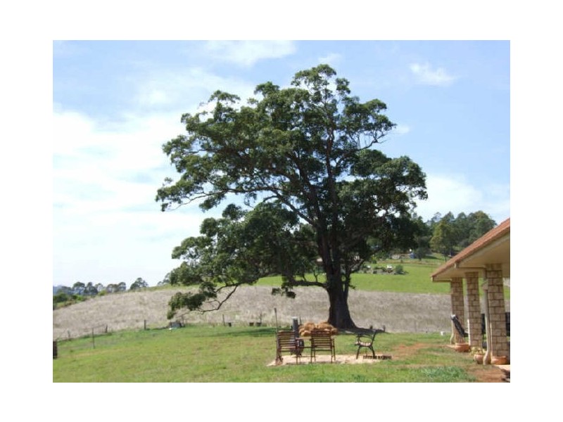 Murwillumbah NSW 2484