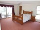 Murwillumbah NSW 2484