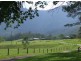 Murwillumbah NSW 2484