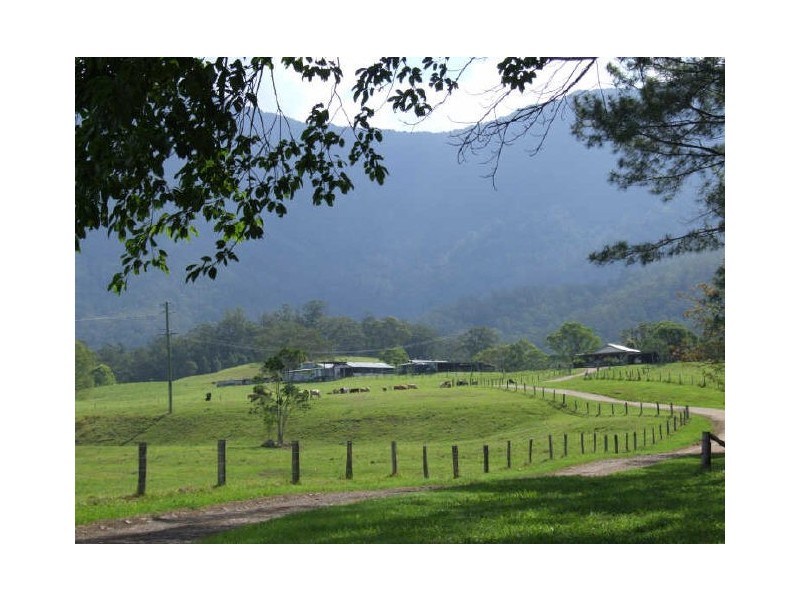 Murwillumbah NSW 2484