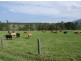 Murwillumbah NSW 2484