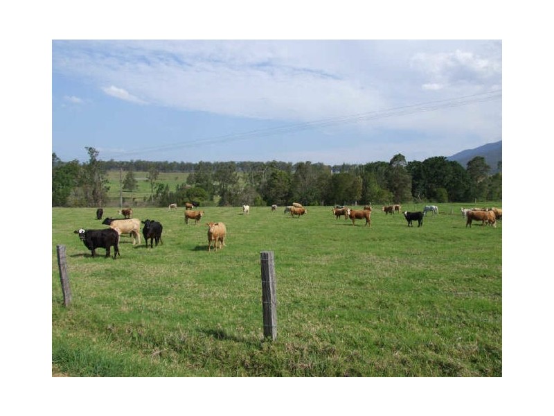 Murwillumbah NSW 2484
