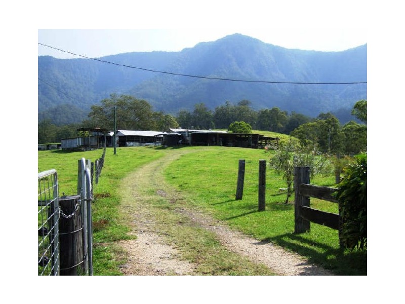 Murwillumbah NSW 2484