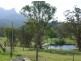 Murwillumbah NSW 2484