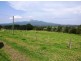 Murwillumbah NSW 2484