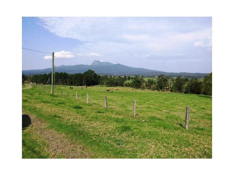 Murwillumbah NSW 2484