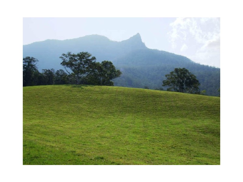 Murwillumbah NSW 2484