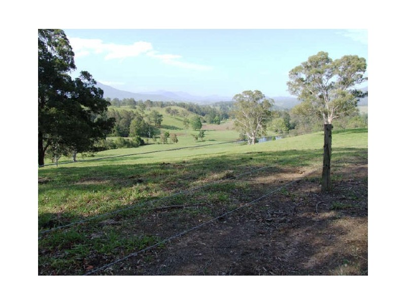 Murwillumbah NSW 2484
