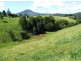 Murwillumbah NSW 2484