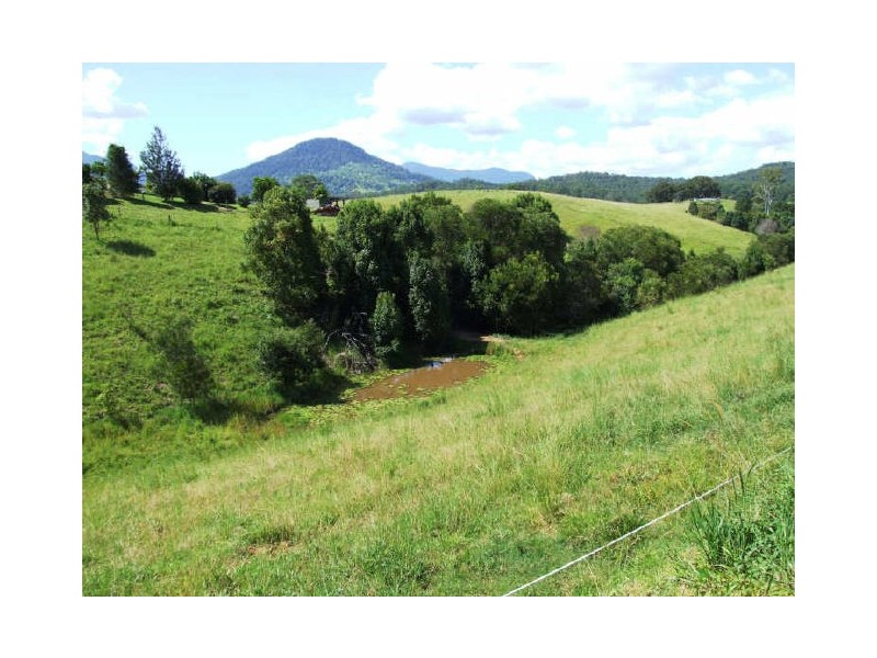 Murwillumbah NSW 2484