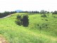 Murwillumbah NSW 2484