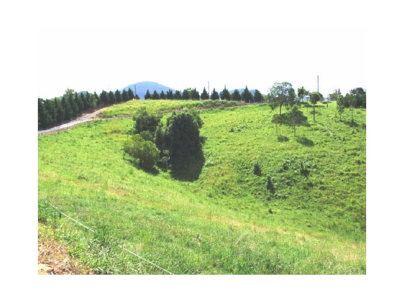 Murwillumbah NSW 2484