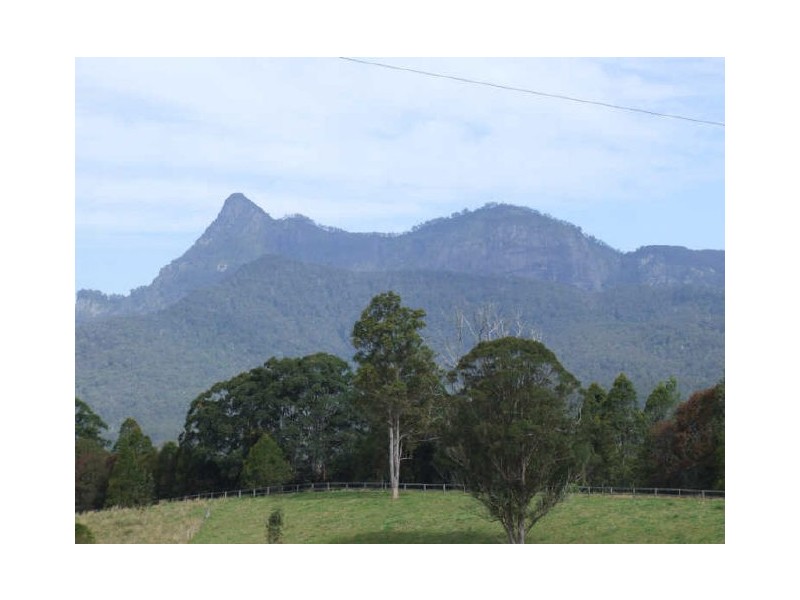 Murwillumbah NSW 2484