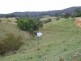 Murwillumbah NSW 2484
