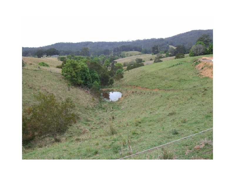 Murwillumbah NSW 2484