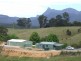 Murwillumbah NSW 2484
