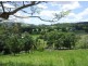 Murwillumbah NSW 2484