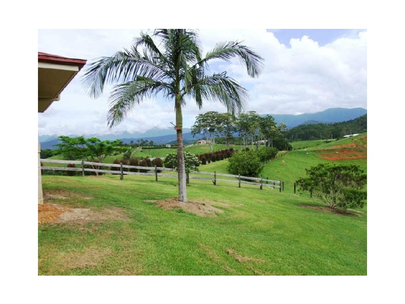 Murwillumbah NSW 2484