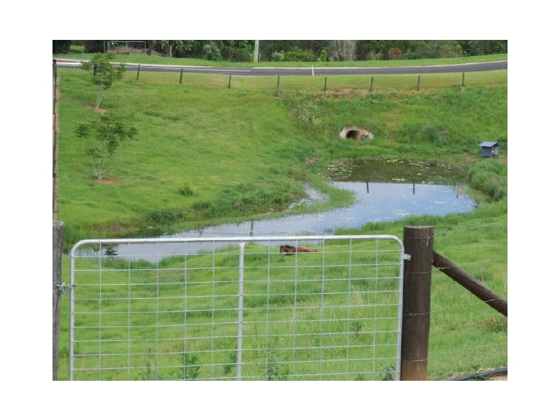 Murwillumbah NSW 2484