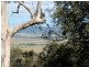 1110 Urliup Road, Urliup NSW 2484