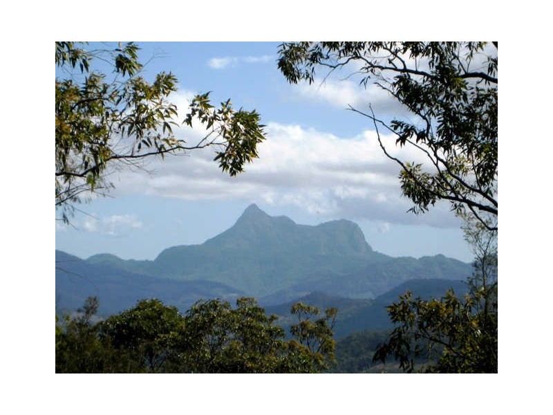1110 Urliup Road, Urliup NSW 2484