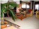 1110 Urliup Road, Urliup NSW 2484