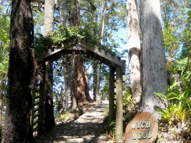 1110 Urliup Road, Urliup NSW 2484