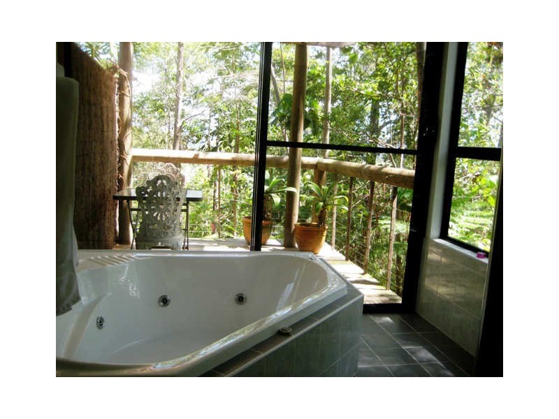 1110 Urliup Road, Urliup NSW 2484
