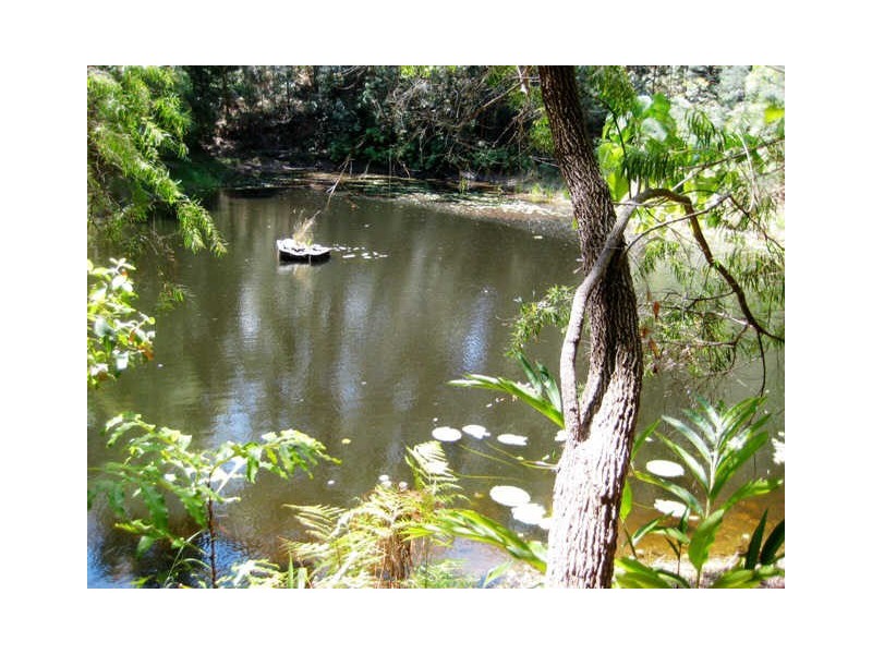 1110 Urliup Road, Urliup NSW 2484